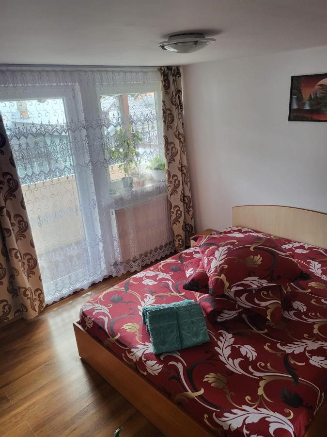 Pensiunea Lacramioara Vatra Dornei Εξωτερικό φωτογραφία