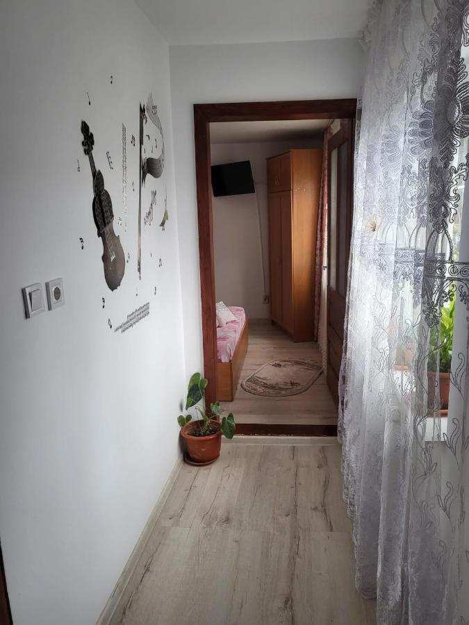 Pensiunea Lacramioara Vatra Dornei Εξωτερικό φωτογραφία